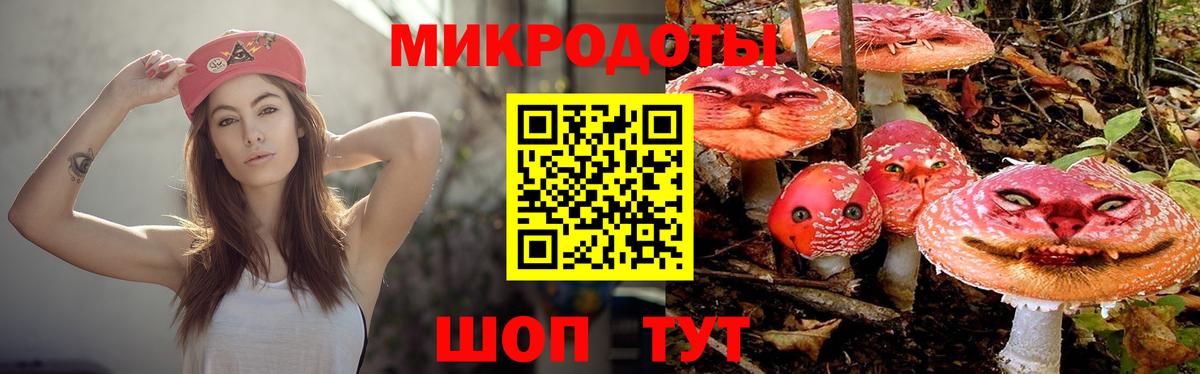 КОКАИН Кировск
